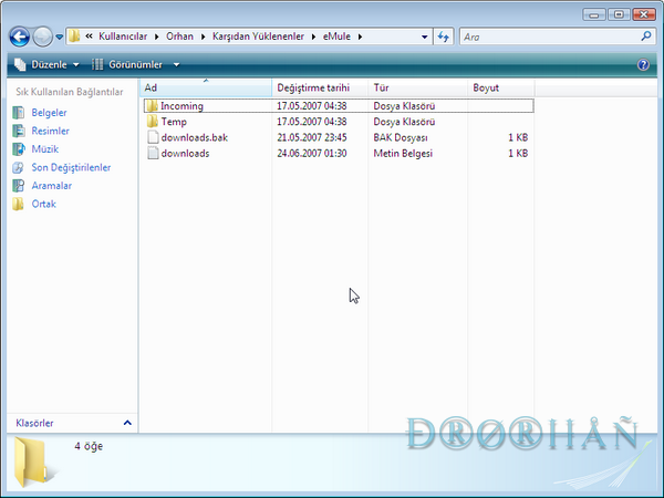 snap028 resize